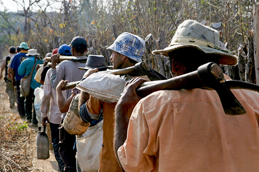 Foto colorida, contemporânea,de trabalhadores rurais com machados nas costas em fila no campo.