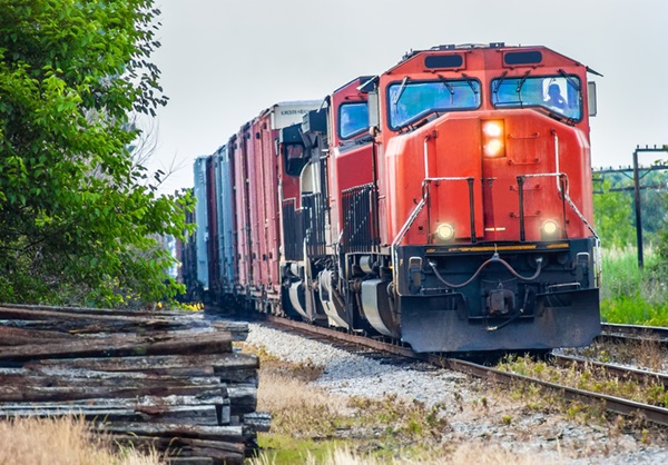 Fotografia de uma locomotiva com contraluz que cria um contorno na figura do maquinista. O equipamento puxa uma série de vagões por um trilho. Estrada de ferro ao lado de vegetação.