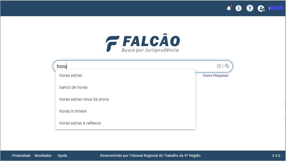 Falcao 20240705 11.sugestões-pesquisas.png