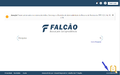 Falcao 20240705 34.versao-do-sistema.png