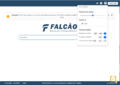 Falcao 20240705 04.acessibilidade.png