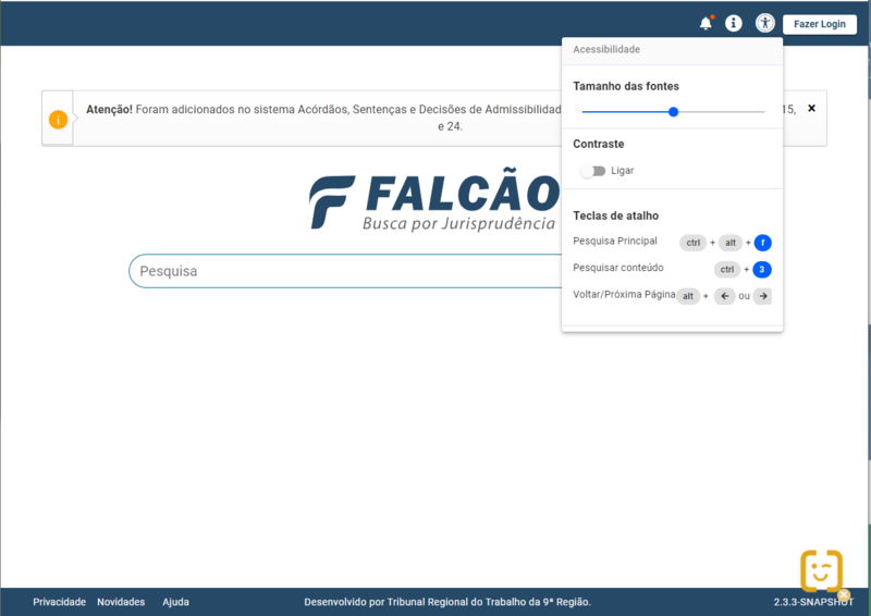 Falcao 20240705 04.acessibilidade.png