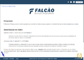 Falcao 20240705 31.privacidade.png